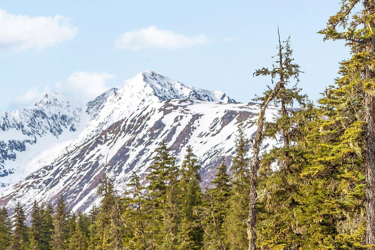 Brighton Condo #208 Girdwood Bagian luar foto