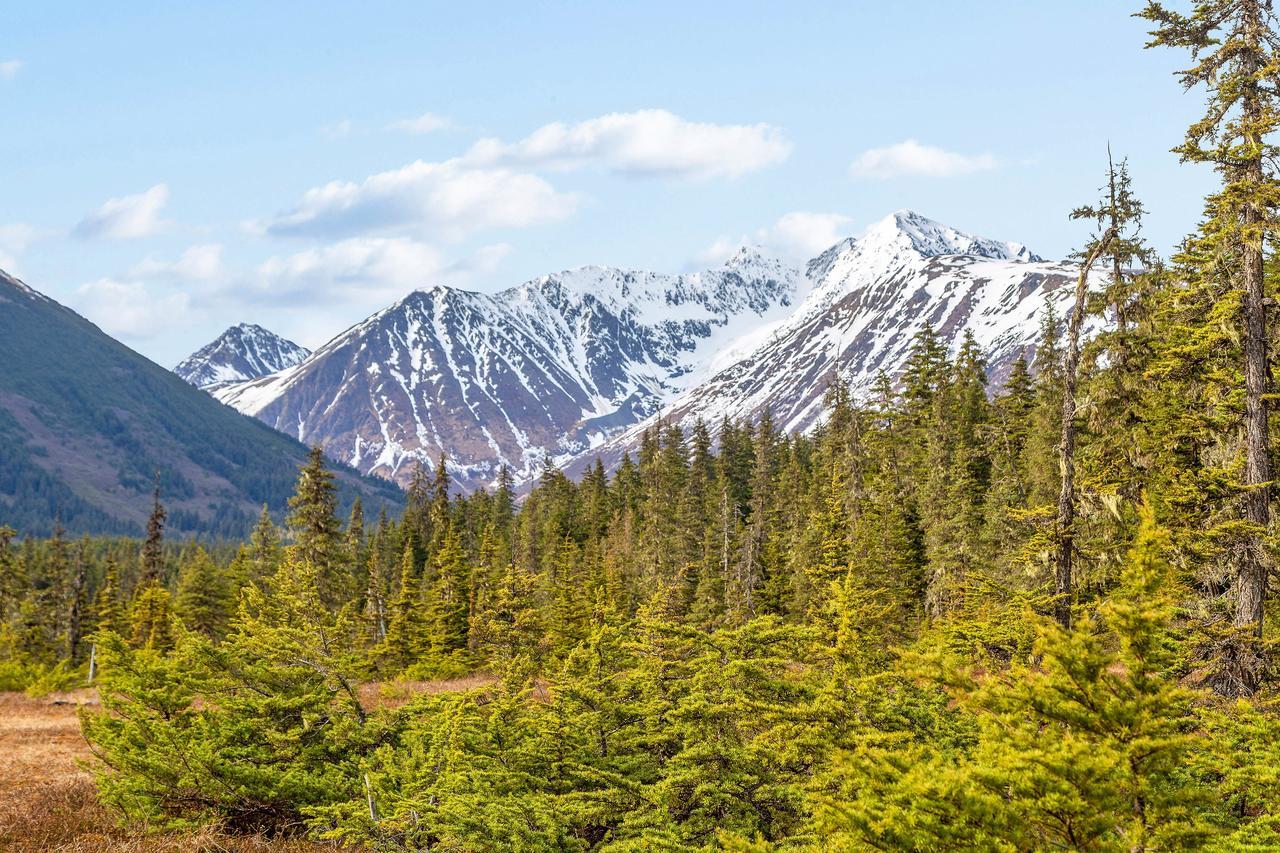 Brighton Condo #208 Girdwood Bagian luar foto